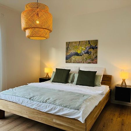 Moderne Ferienwohnung Mit Terrasse, Grill & Privatparkplatz Venningen Dış mekan fotoğraf